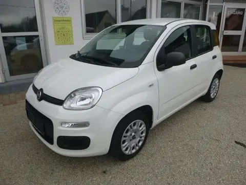 Annonce FIAT PANDA Essence 2020 d'occasion 