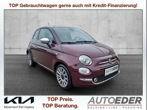 Used FIAT 500 Petrol 2021 Ad 