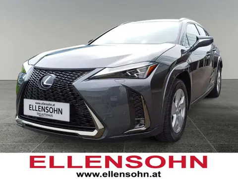 Used LEXUS UX Hybrid 2022 Ad 