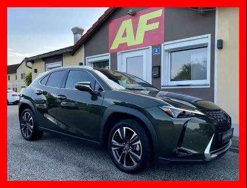 Used LEXUS UX Hybrid 2024 Ad 