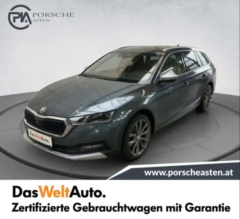 Used SKODA OCTAVIA Diesel 2021 Ad 