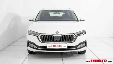 Annonce SKODA OCTAVIA Diesel 2023 d'occasion 