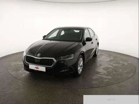 Used SKODA OCTAVIA Diesel 2021 Ad 