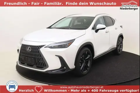 Used LEXUS NX Hybrid 2024 Ad 