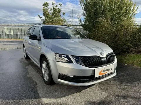 Annonce SKODA OCTAVIA Diesel 2019 d'occasion 