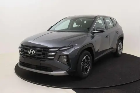 Used HYUNDAI TUCSON Diesel 2024 Ad 