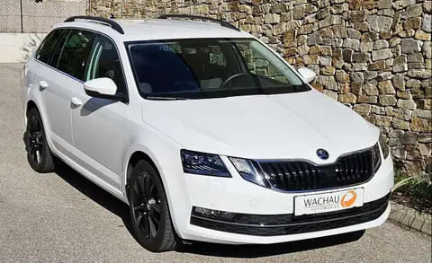 Annonce SKODA OCTAVIA Diesel 2019 d'occasion 