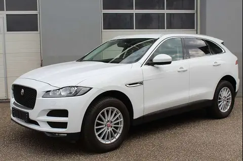 Used JAGUAR F-PACE Diesel 2017 Ad 