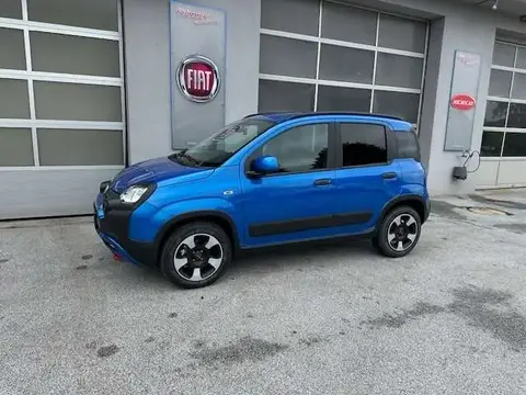 Used FIAT PANDA Petrol 2024 Ad 