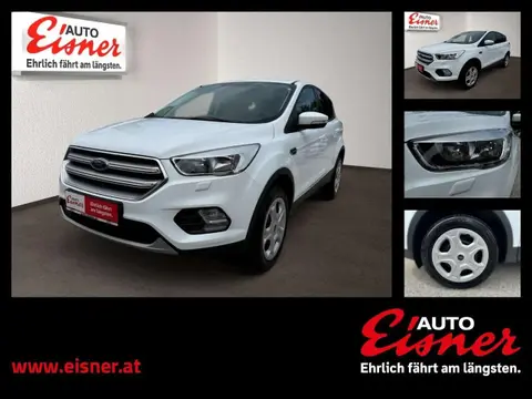 Annonce FORD KUGA Diesel 2019 d'occasion 