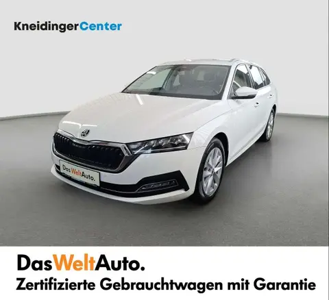 Used SKODA OCTAVIA Diesel 2022 Ad 