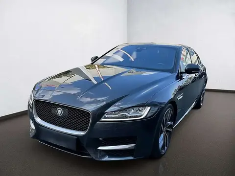 Annonce JAGUAR XF Diesel 2016 d'occasion 