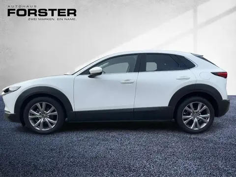 Used MAZDA CX-30 Petrol 2019 Ad 