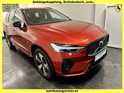 Annonce VOLVO XC60 Hybride 2023 d'occasion 