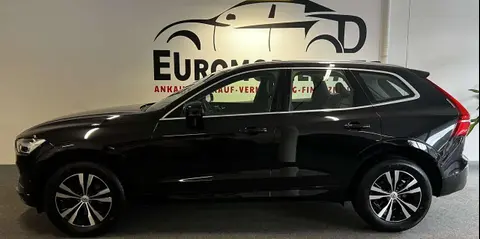 Annonce VOLVO XC60 Diesel 2020 d'occasion 