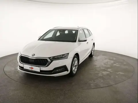 Used SKODA OCTAVIA Diesel 2020 Ad 