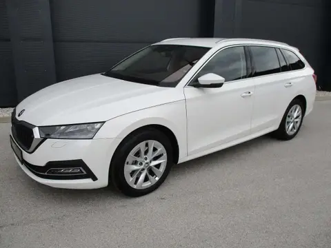 Used SKODA OCTAVIA Diesel 2024 Ad 