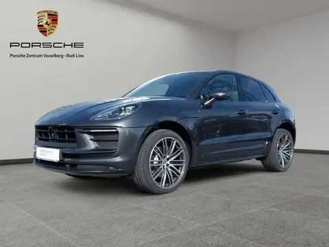 Used PORSCHE MACAN Petrol 2024 Ad 