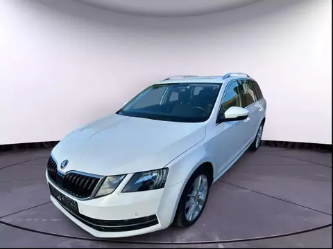 Used SKODA OCTAVIA Diesel 2019 Ad 