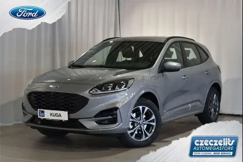 Used FORD KUGA Petrol 2022 Ad 