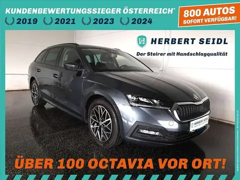 Annonce SKODA OCTAVIA Diesel 2021 d'occasion 