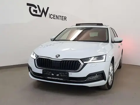 Annonce SKODA OCTAVIA Diesel 2020 d'occasion 