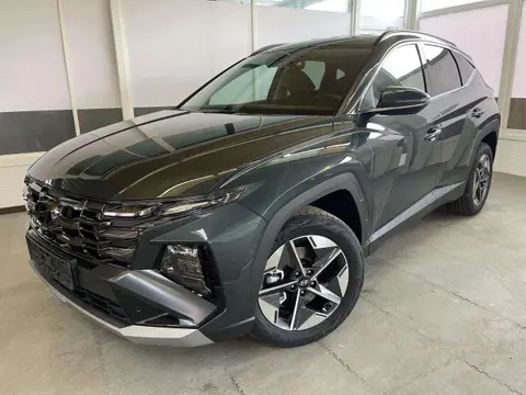 Used HYUNDAI TUCSON Petrol 2024 Ad 