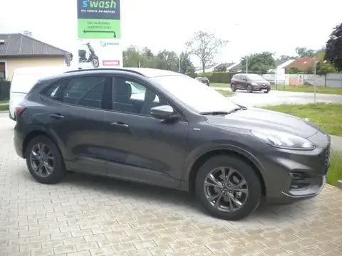 Used FORD KUGA Diesel 2024 Ad 