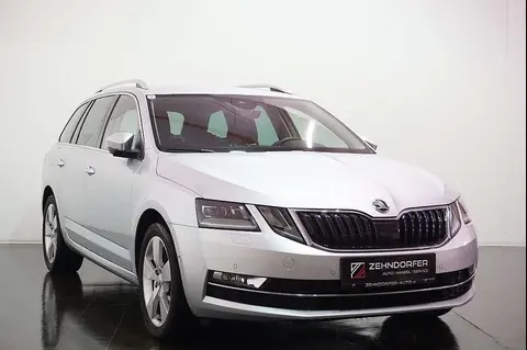 Used SKODA OCTAVIA Diesel 2019 Ad 