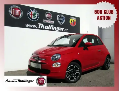 Used FIAT 500 Petrol 2022 Ad 