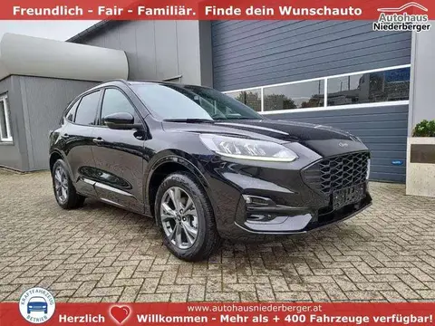 Annonce FORD KUGA Hybride 2024 d'occasion 