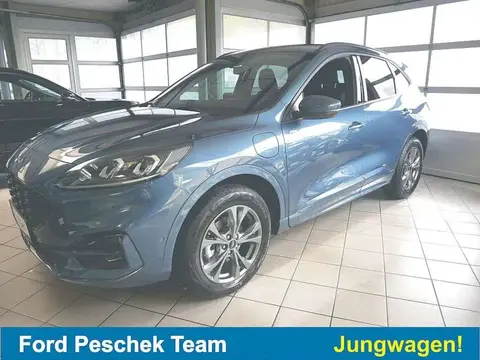 Used FORD KUGA Hybrid 2023 Ad 