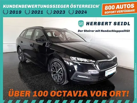 Annonce SKODA OCTAVIA Diesel 2021 d'occasion 