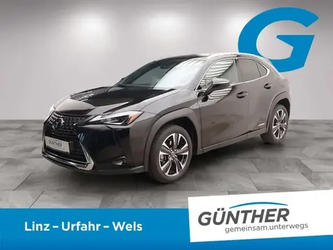 Used LEXUS UX Petrol 2022 Ad 