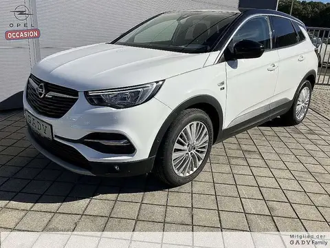 Used OPEL GRANDLAND Petrol 2020 Ad 