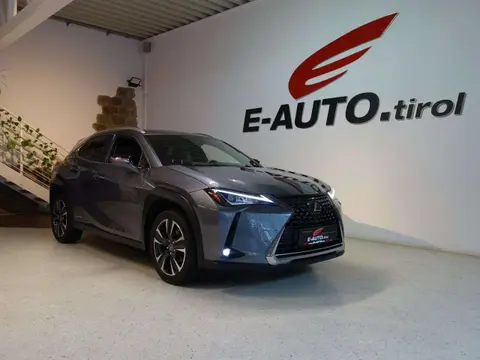 Used LEXUS UX Hybrid 2019 Ad 