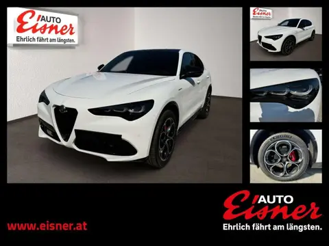 Used ALFA ROMEO STELVIO Diesel 2024 Ad 