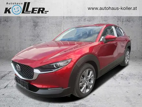 Used MAZDA CX-30 Petrol 2024 Ad 