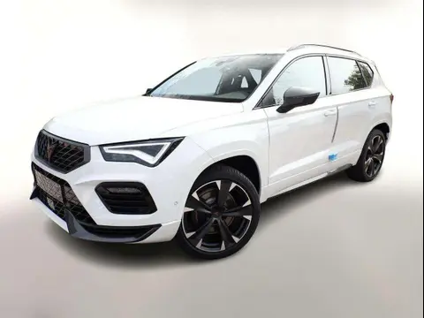 Annonce CUPRA ATECA Essence 2024 d'occasion 