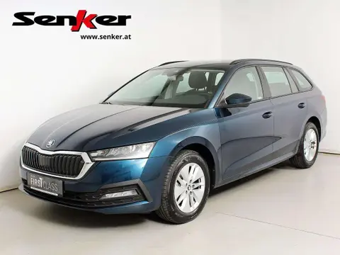 Used SKODA OCTAVIA Diesel 2024 Ad 