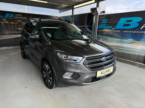 Used FORD KUGA Diesel 2017 Ad 