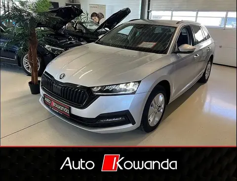 Annonce SKODA OCTAVIA Diesel 2022 d'occasion 