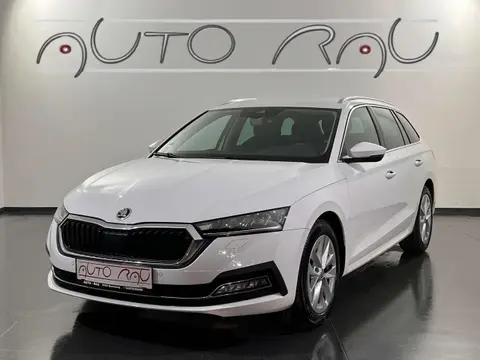 Used SKODA OCTAVIA Diesel 2020 Ad 