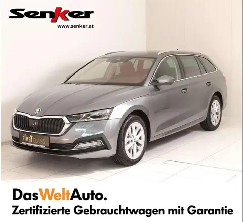 Used SKODA OCTAVIA Diesel 2023 Ad 