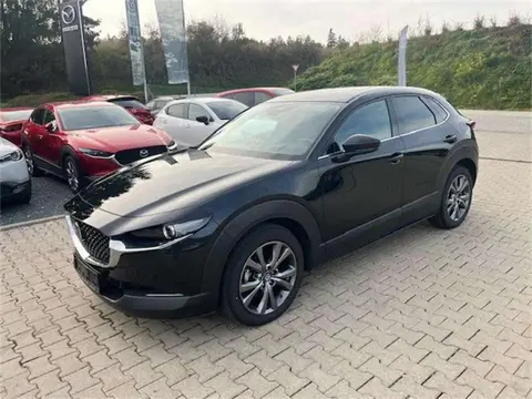 Used MAZDA CX-30 Petrol 2023 Ad 