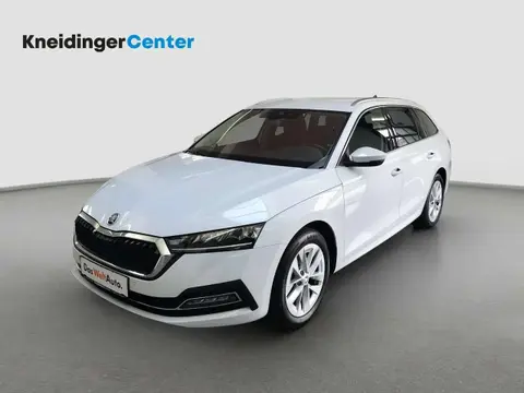 Annonce SKODA OCTAVIA Diesel 2022 d'occasion 