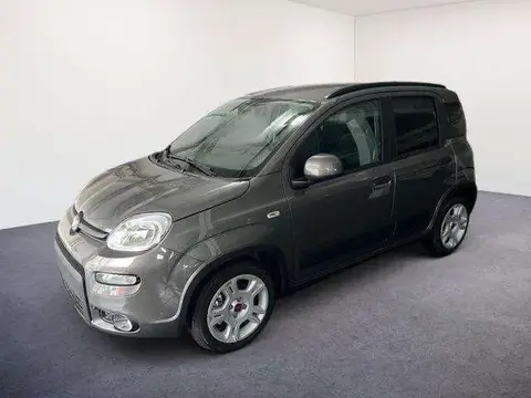 Annonce FIAT PANDA Essence 2023 d'occasion 