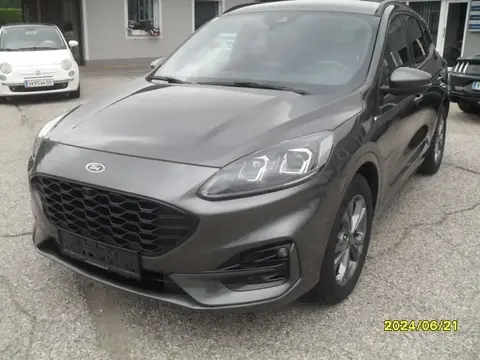 Used FORD KUGA Diesel 2020 Ad 