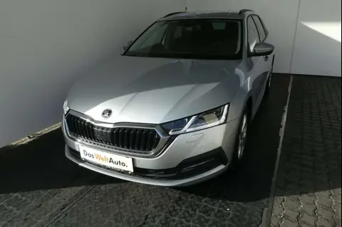 Used SKODA OCTAVIA Diesel 2021 Ad 