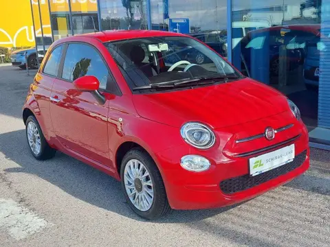 Used FIAT 500 Petrol 2022 Ad 